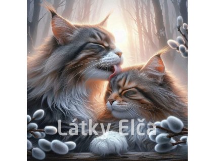 kočka a kočičky 18