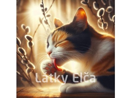 kočka a kočičky 19