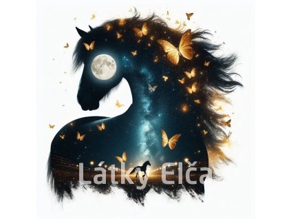 kůň a zltý motýl 3