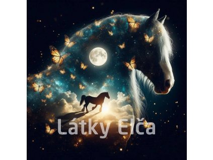 kůň a zltý motýl 5