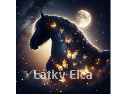 kůň a zltý motýl 6