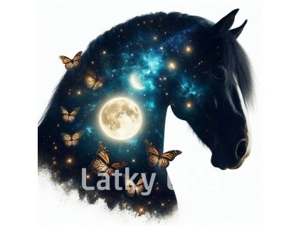 kůň a zltý motýl 7