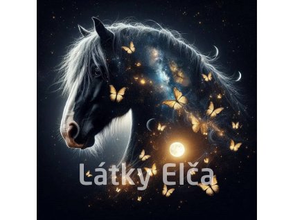 kůň a zltý motýl 10