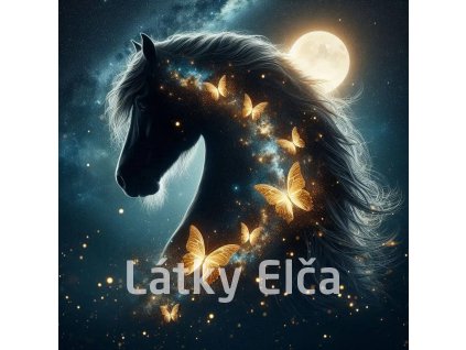 kůň a zltý motýl 13