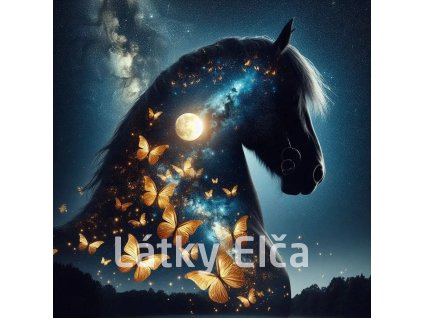 kůň a zltý motýl 14
