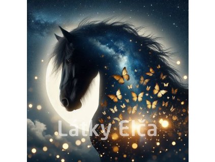 kůň a zltý motýl 18