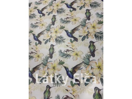 Koženka kolibříci a žlutý květ