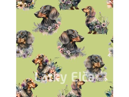 shutterstock 2270177885