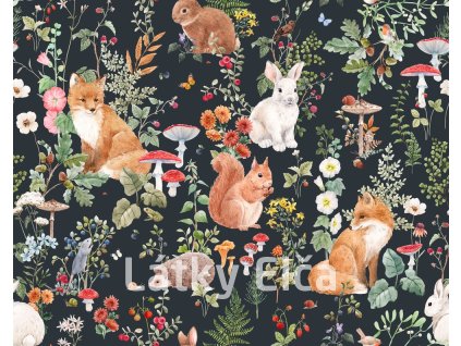 shutterstock 2454792791