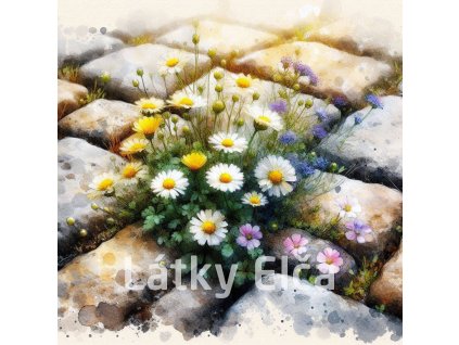 kvítí v dlažbě 2