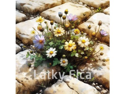 kvítí v dlažbě 4