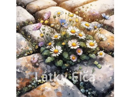 kvítí v dlažbě 5