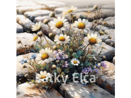 kvítí v dlažbě 6