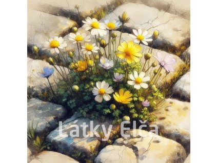 kvítí v dlažbě 7