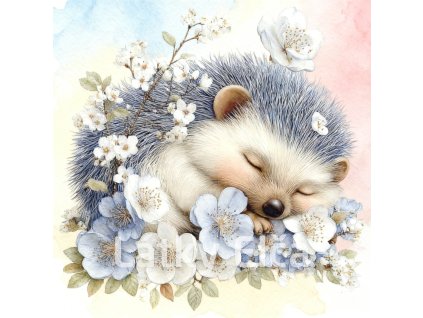 ježek a světle modrý květ 5