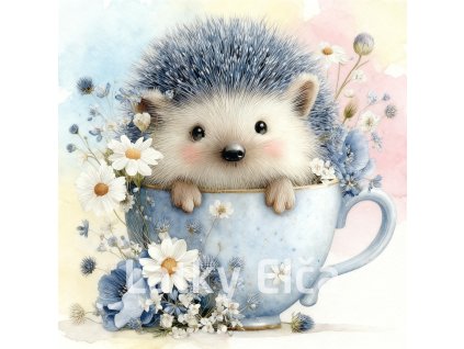 ježek a světle modrý květ 8