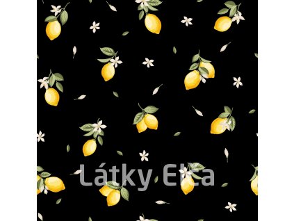 shutterstock 2452035731