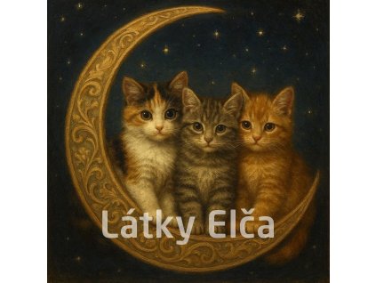 tři kočky na měsíci 1