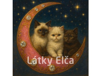 tři kočky na měsíci 4