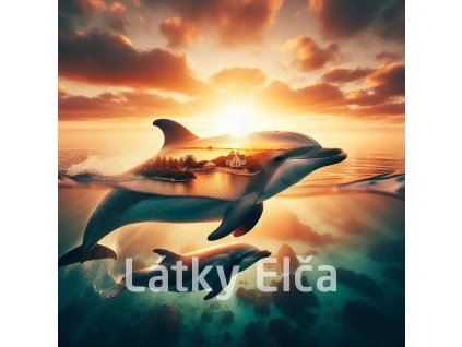 delfíní s přírodou 3