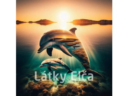 delfíní s přírodou 4