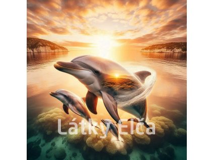 delfíní s přírodou 5