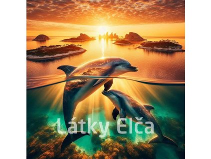 delfíní s přírodou 6