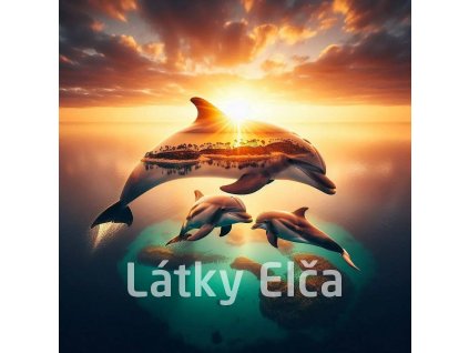 delfíní s přírodou 7