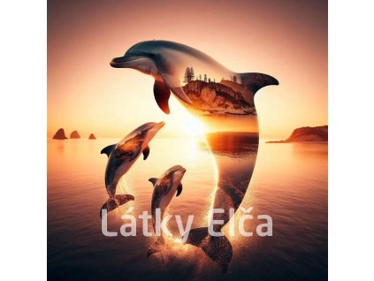 delfíní s přírodou 8