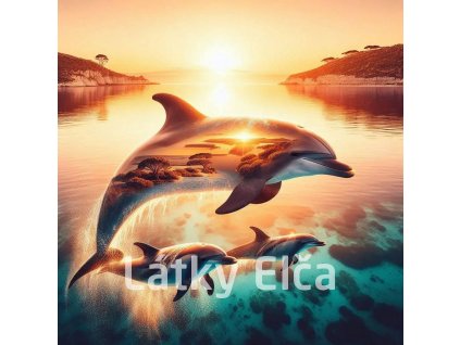 delfíní s přírodou 11
