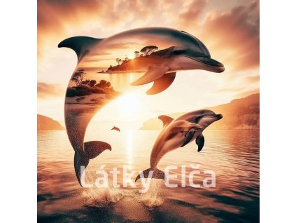 delfíní s přírodou 12
