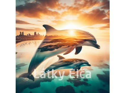 delfíní s přírodou 13