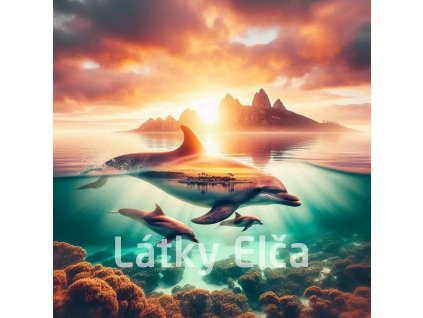 delfíní s přírodou 14