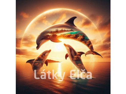 delfíní s přírodou 15