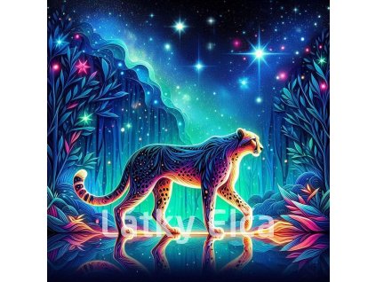 duhová obloha a zvíře 4