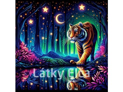 duhová obloha a zvíře 6