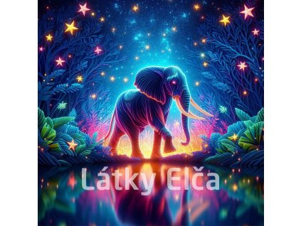 duhová obloha a zvíře 10