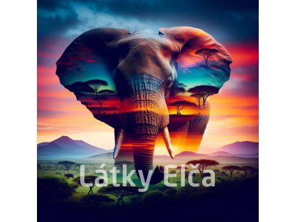 afrika slon 1