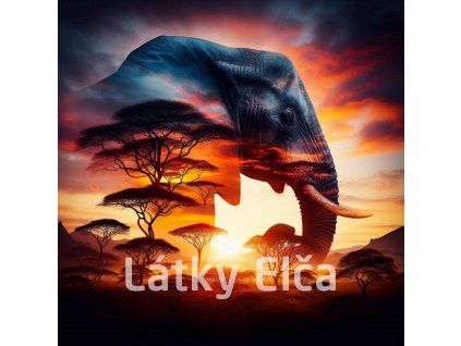afrika slon 2