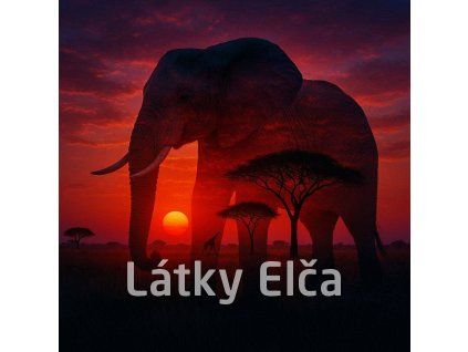 afrika slon 3