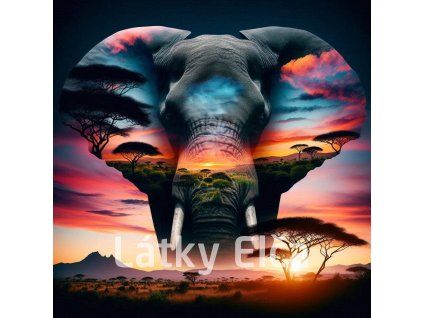 afrika slon 4