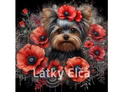yorkshire terrier vlčí mák 2