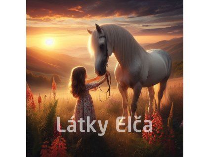 holčička a kůň při západu 2