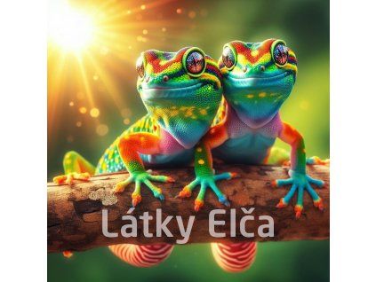 2 ještěrky