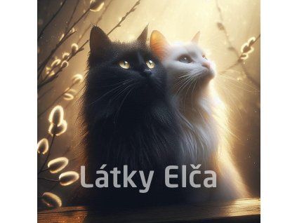 kočka a kočičky 10