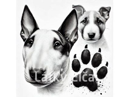 bull terrier 1