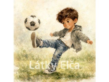 fotbalista 2
