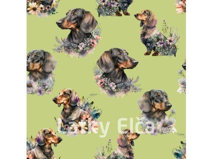 shutterstock 2270177885