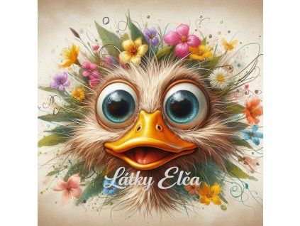 kachna a květ 5
