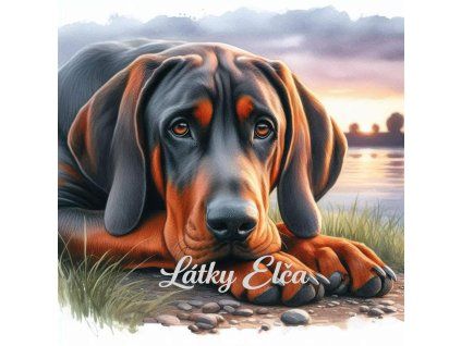 Black and Tan Coonhound při západu